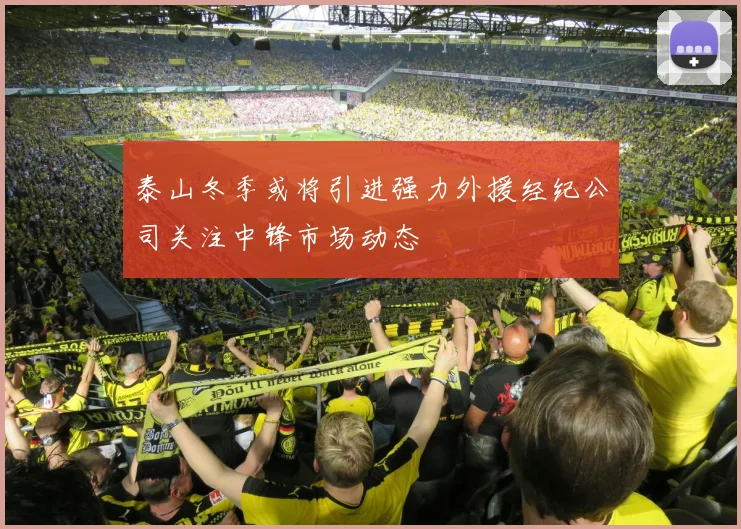 泰山冬季或将引进强力外援经纪公司关注中锋市场动态